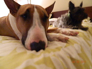 sam and oliver